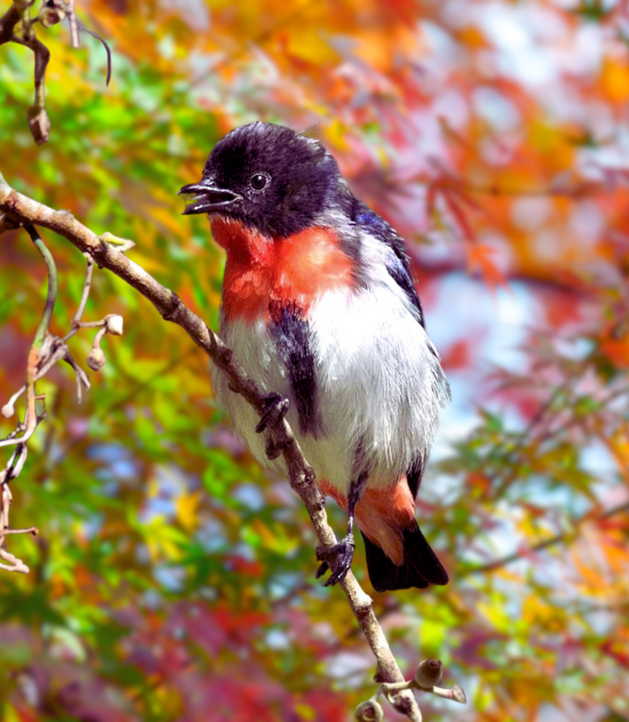 1-42-892x1024 The Benefits of Bird Feeding: Why and How to Start Feeding Birds Today.