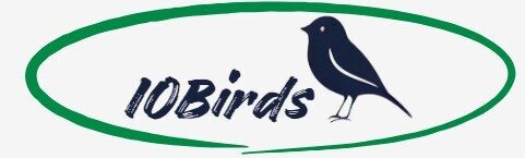 iobirds